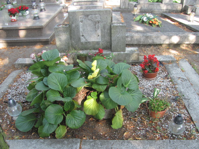 Walenty Dymacz 1949 Ostrzeszów - Grobonet - Wyszukiwarka osób pochowanych