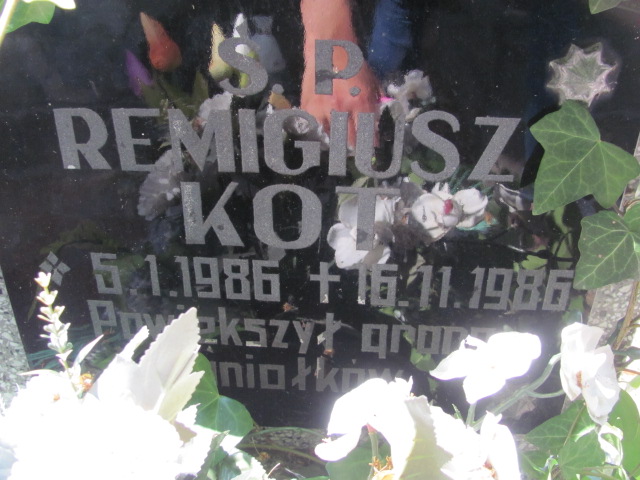 Remigiusz Kot 1986 Ostrzeszów - Grobonet - Wyszukiwarka osób pochowanych